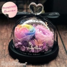 Eternity Preserved Rose Rainbow & Pink
